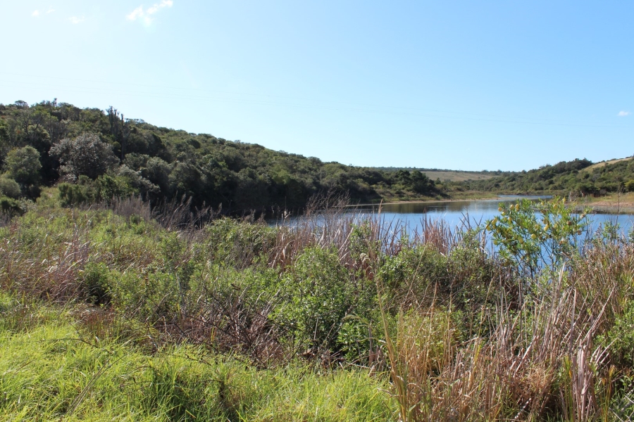 3 Bedroom Property for Sale in Bathurst Eastern Cape